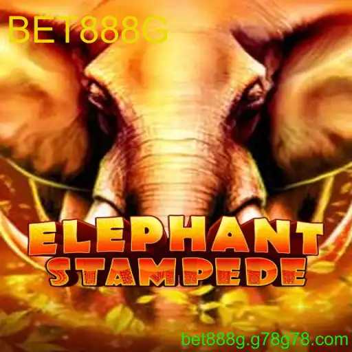 ElephantStampede